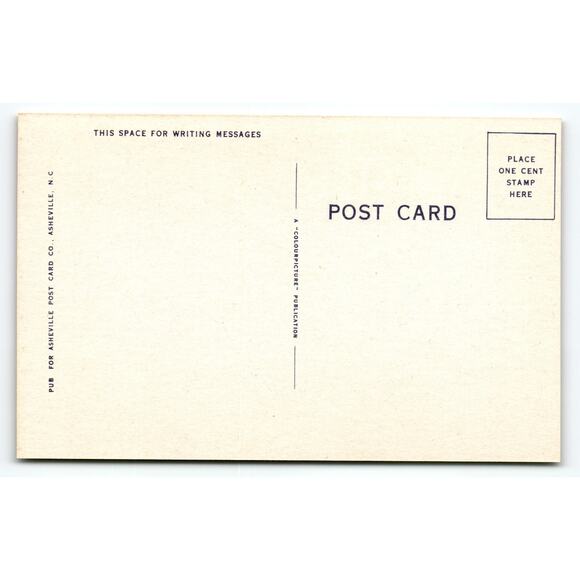 Vintage Linen Comic Postcard Bear with Magnifying Glass Saying 1950s - Picture 2 of 2